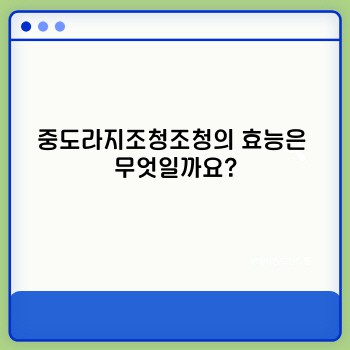 408504113d3316735f28ccc3558f83f3.jpg