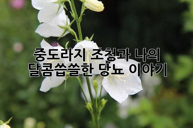 49a8c759e39000add63470631dbf0ded.jpg