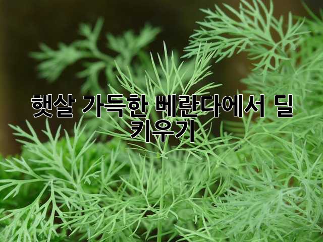 67dac0438ebcb0a88420a0a36146615d.jpg