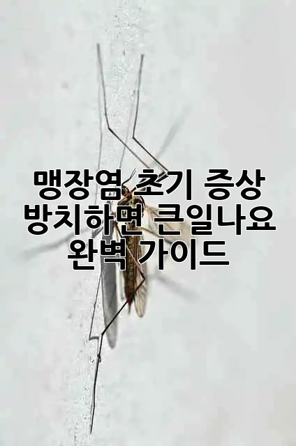 a2fb2906482b8be6bab95dfc440ab637.jpg