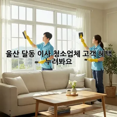 울산 달동 이사, 청소업체 고객 혜택 누려봐요! ✨