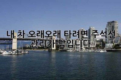 내 차, 오래오래 타려면? 주석선 관리가 답입니다!