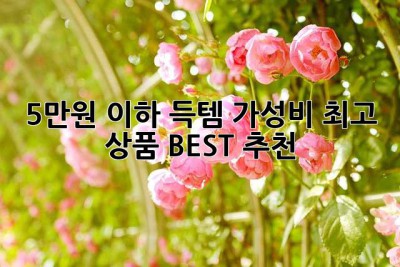 5만원 이하 득템! 가성비 최고 상품 BEST 추천