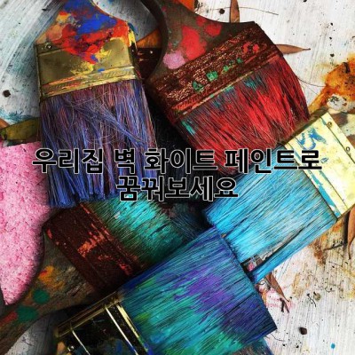 우리집 벽, 화이트 페인트로 꿈꿔보세요 ✨