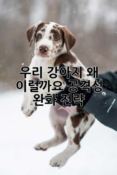 우리 강아지, 왜 이럴까요? 공격성 완화 전략
