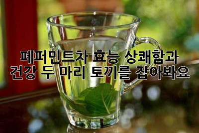 페퍼민트차 효능: 상쾌함과 건강, 두 마리 토끼를 잡아봐요!