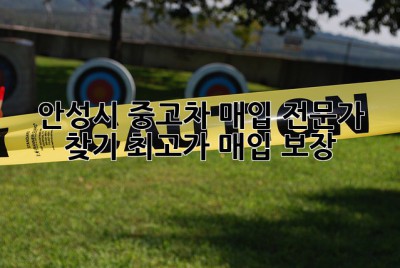 안성시 중고차 매입 전문가 찾기: 최고가 매입 보장!