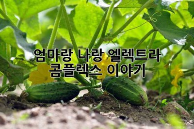 엄마랑 나랑... 엘렉트라 콤플렉스 이야기