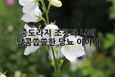 중도라지 조청과 나의 달콤씁쓸한 당뇨 이야기