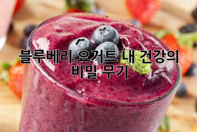 블루베리 요거트, 내 건강의 비밀 무기?