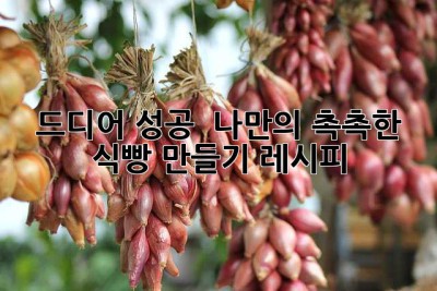 드디어 성공! 👩‍🍳 나만의 촉촉한 식빵 만들기 레시피