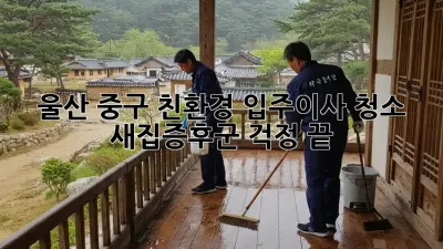 울산 중구 친환경 입주/이사 청소: 새집증후군 걱정 끝! ✨