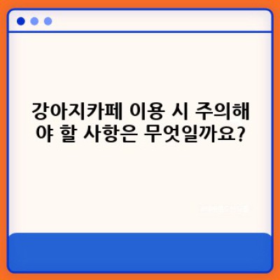 강아지카페 완벽 가이드: 이용 방법부터 주의사항까지!