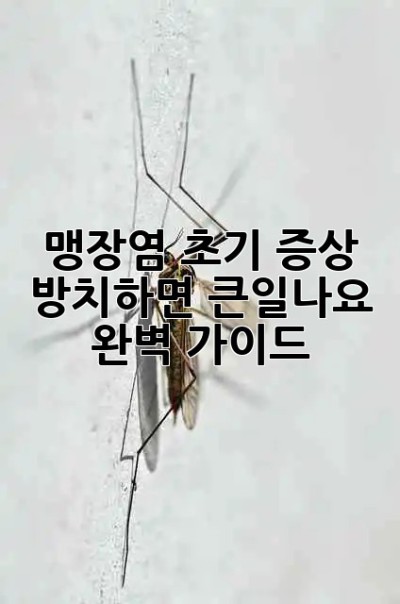 ⏰ 맹장염 초기 증상, 방치하면 큰일나요! 🚑 완벽 가이드
