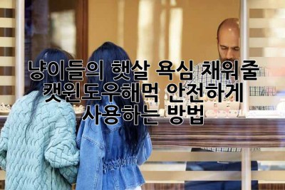 냥이들의 햇살 욕심 채워줄 캣윈도우해먹, 안전하게 사용하는 방법!