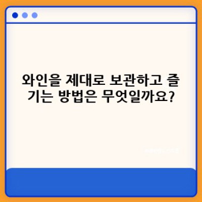 와인 완벽 가이드: 초보자부터 애호가까지, 모든 것을 담았습니다!