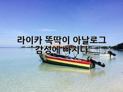 라이카 똑딱이: 아날로그 감성에 빠지다 ✨
