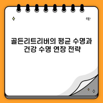 골든리트리버 건강관리: 행복한 삶을 위한 완벽 가이드