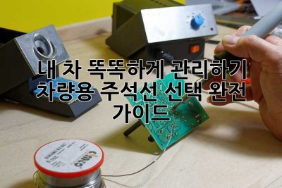 내 차, 똑똑하게 관리하기: 차량용 주석선 선택 완전 가이드!