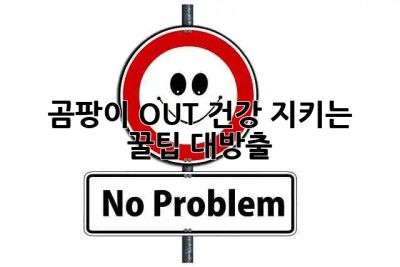 🏡 곰팡이 OUT! 건강 지키는 꿀팁 대방출! ✨