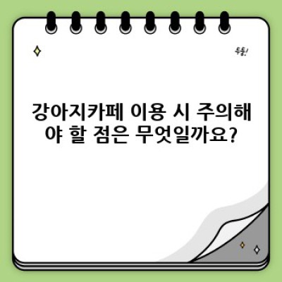 강아지카페 요약정보 우선 확인:  나에게 맞는 완벽한 강아지카페 찾기 가이드