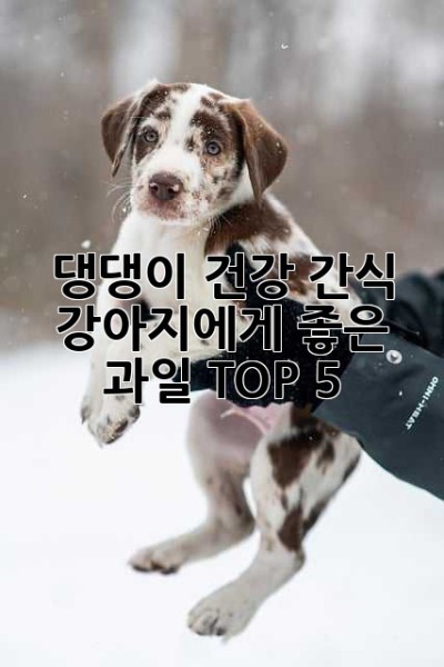 댕댕이 건강 간식! 강아지에게 좋은 과일 TOP 5🐶🍎🍌