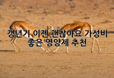 갱년기, 이젠 괜찮아요! 가성비 좋은 영양제 추천