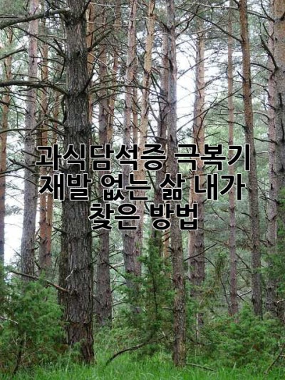 과식담석증 극복기: 재발 없는 삶, 내가 찾은 방법