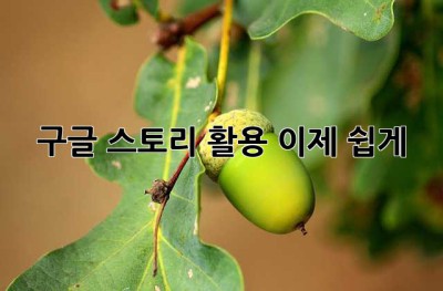 구글 스토리 활용, 이제 쉽게! ✨
