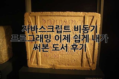 자바스크립트 비동기 프로그래밍, 이제 쉽게! 내가 써본 도서 후기